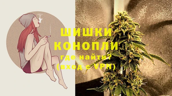 прущая мука Ельня
