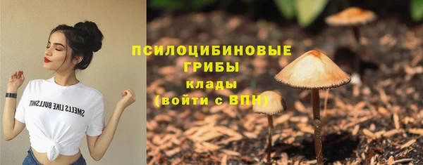 прущая мука Ельня