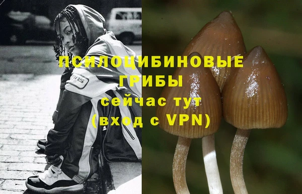 дистиллят марихуана Заводоуковск