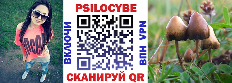 Купить где  Лиски  Псилоцибиновые грибы Cubensis 