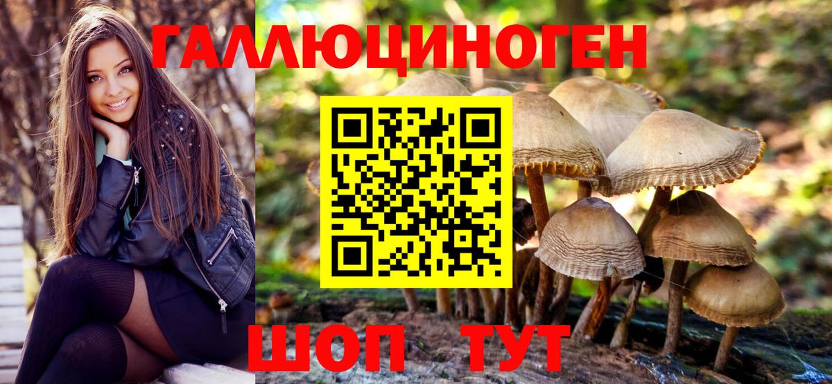 Лиски  Галлюциногенные грибы прущие грибы  Вход с VPN 