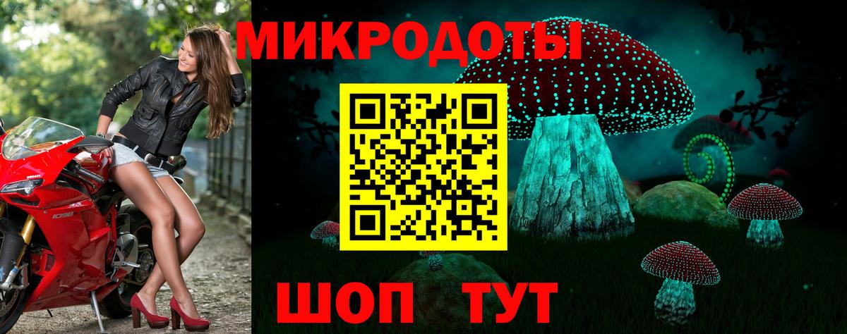 Галлюциногенные грибы Psilocybine cubensis Лиски